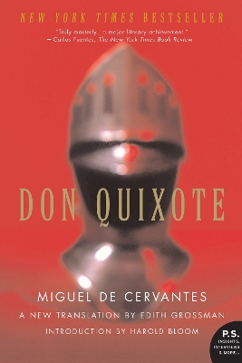 Don Quixote book