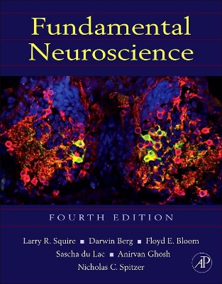 Fundamental Neuroscience book