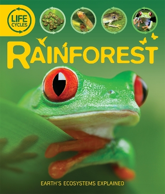Life Cycles: Rainforest by Sean Callery