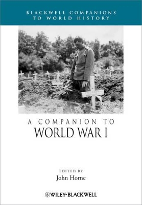 Companion to World War I book