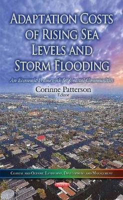 Adaptation Costs of Rising Sea Levels and Storm Flooding book
