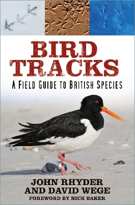 Bird Tracks: A Field Guide to British Species book