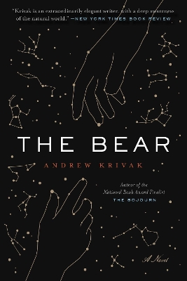 The Bear book