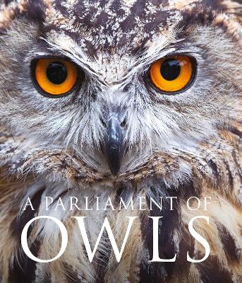 Parliament of Owls book