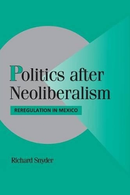 Politics after Neoliberalism by Richard Snyder