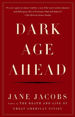 Dark Age Ahead book