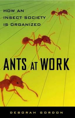 Ants At Work book