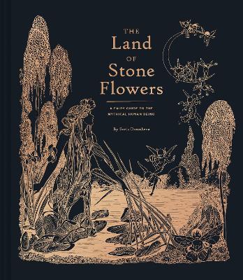 Land of Stone Flowers by Sveta Dorosheva