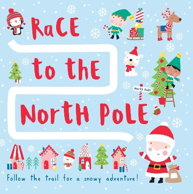 Race to the North Pole book