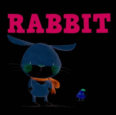 The Little Rabbit Who Lost Her Hop book
