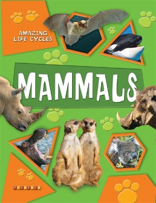 Amazing Life Cycles: Mammals book