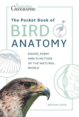 The Pocket Book of Bird Anatomy by Marianne Taylor