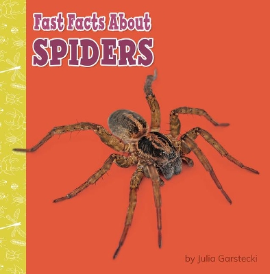 Spiders book