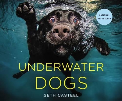 Underwater Dogs book