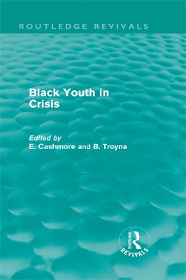 Black Youth in Crisis (Routledge Revivals) by E. Cashmore