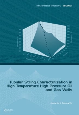 Tubular String Characterization in High Temperature High Pressure Oil and Gas Wells book