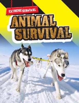 Extreme Survival Pack A of 4 by Lori Hile