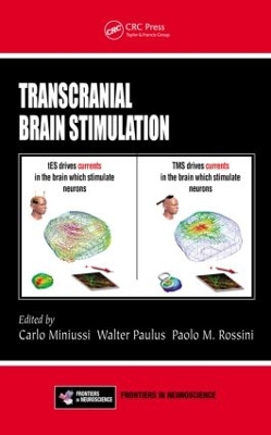 Transcranial Brain Stimulation by Carlo Miniussi