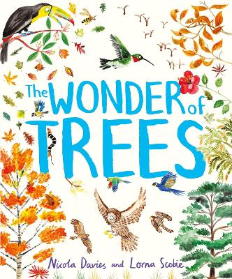 The Wonder of Trees by Nicola Davies