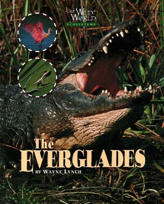 Everglades book