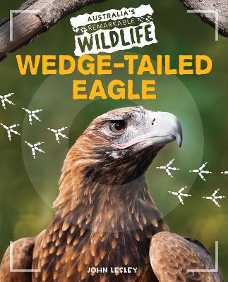 Wedge-Tailed Eagle book