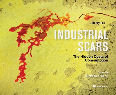 Industrial Scars: The Hidden Costs of Consumption book