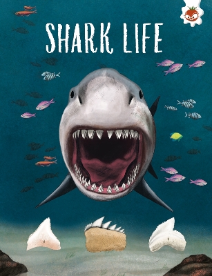 SHARK LIFE: Shark Safari STEM book