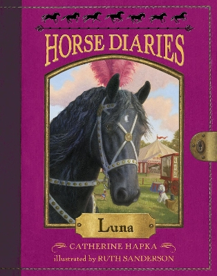 Horse Diaries #12 book