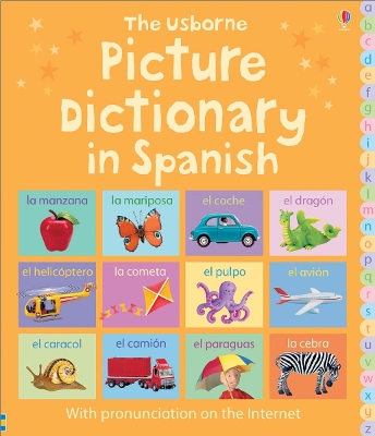 Picture Dictionary in Spanish book