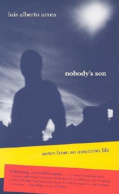 Nobody's Son book