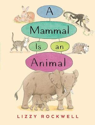 Mammal Is an Animal by Lizzy Rockwell