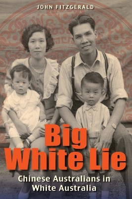 Big White Lie book