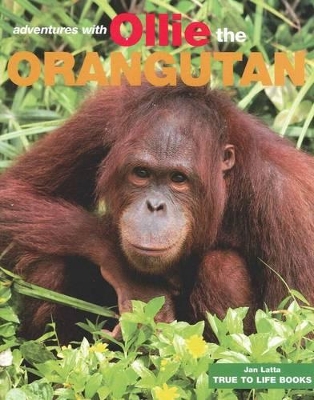 Adventures with Ollie The Orangutan book