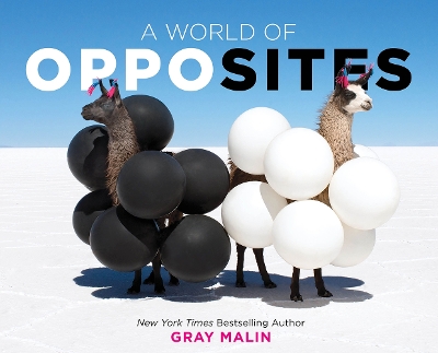 A World of Opposites book