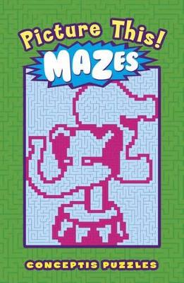 Picture This! Mazes book