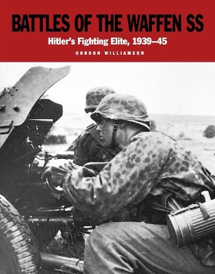 Battles of the Waffen-Ss book