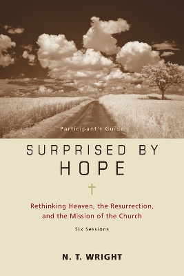 Surprised by Hope Participant's Guide by N T Wright