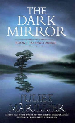 Dark Mirror book
