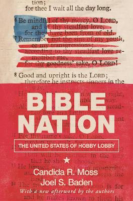 Bible Nation: The United States of Hobby Lobby book