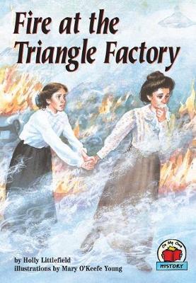 Fire at the Triangle Factory book