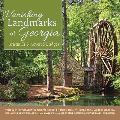 Vanishing Landmarks of Georgia book