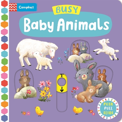 Busy Baby Animals: A Push, Pull, Slide Book by Ag Jatkowska