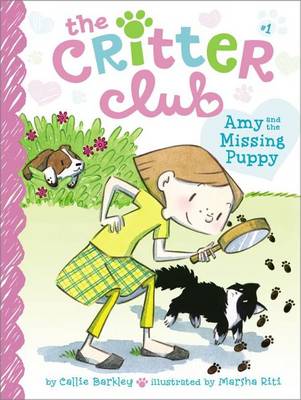 Amy and the Missing Puppy book