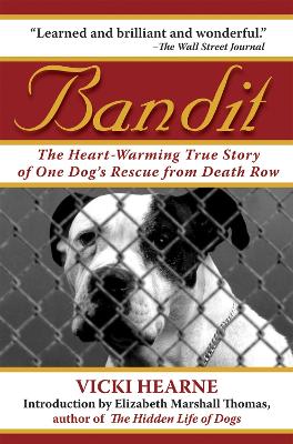 Bandit book