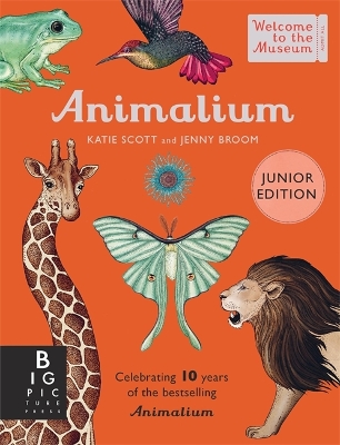 Animalium (Junior Edition) book