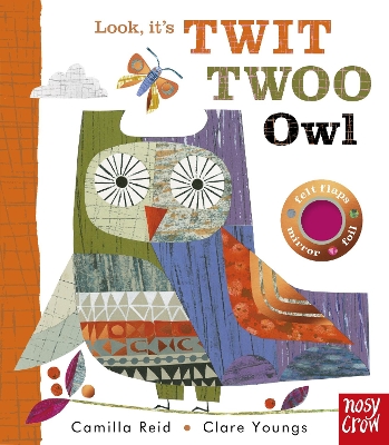 Look, It's Twit Twoo Owl book