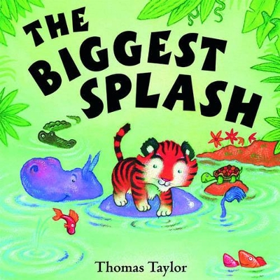 Biggest Splash book