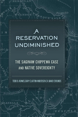 A Reservation Undiminished: The Saginaw Chippewa Case and Native Sovereignty book