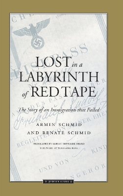 Lost in a Labyrinth of Red Tape book