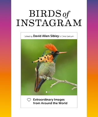 Birds of Instagram: Extraordinary Images from Around the World book